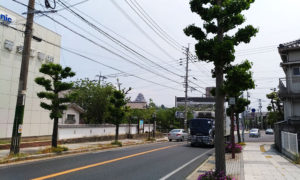 遠くに唐津城が見える街の景色
