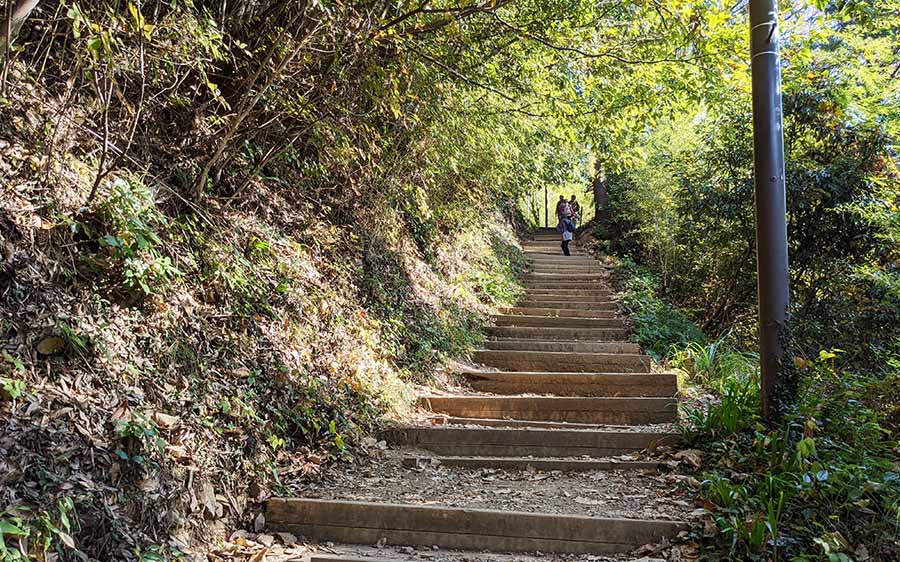 金比羅台までの階段の道